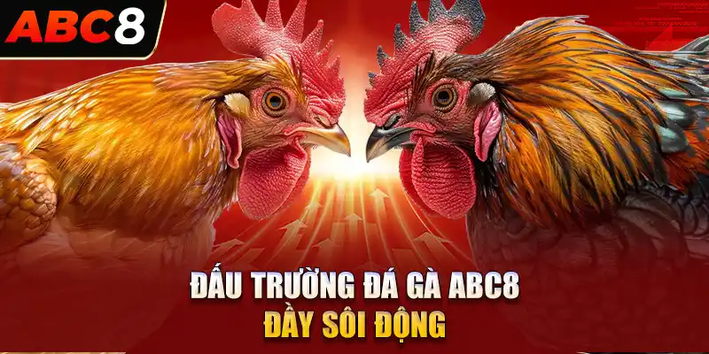 Các loại hình và cửa cược phổ biến tại đá gà ABC8