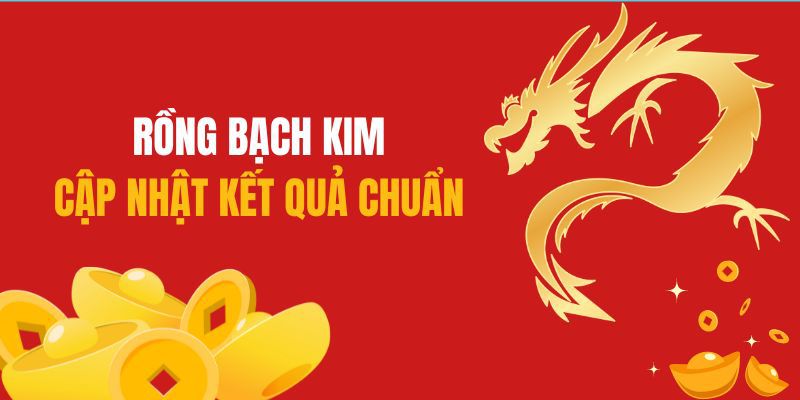 Lưu ý khi bet thủ sử dụng soi cầu lô đề rồng bạch kim